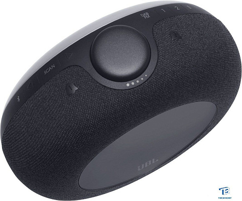 картинка Портативная колонка JBL Horizon 2 Черный