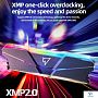 картинка ОЗУ Netac NTSRD4P32DP-16E - превью 3