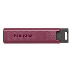 картинка Флэш накопитель Kingston DTMAXA/256GB