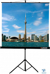 картинка Экран на штативе Lumien Eco View LEV-100105