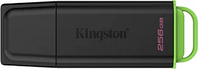 картинка Флэш накопитель Kingston DTXG2/256GB