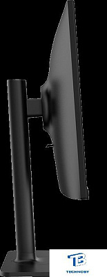 картинка Монитор MSI MD2412P