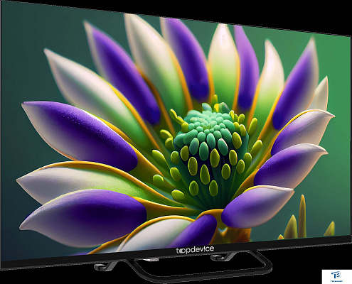 картинка Телевизор Topdevice TDTV32CS04H_BK