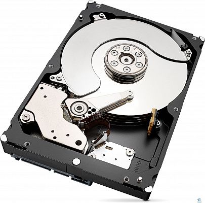картинка Жесткий диск Seagate 6ТВ ST6000VX001