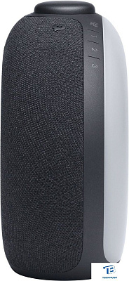 картинка Портативная колонка JBL Horizon 2 Черный