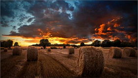 картинка Дисплей Samsung VM46B-U