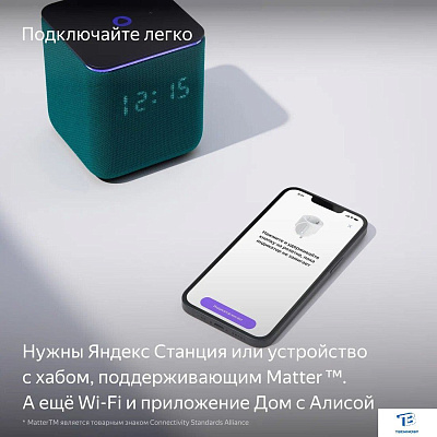 картинка Умная розетка Яндекс YNDX-00540WHT белый