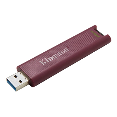 картинка Флэш накопитель Kingston DTMAXA/256GB