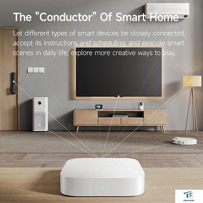 картинка Контроллер Xiaomi Hub 2 BHR6765GL