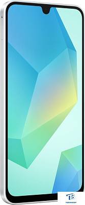 картинка Смартфон Samsung Galaxy A16 256GB Gray SM-A165FZAICAU