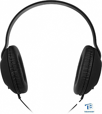 картинка Наушники Sven AP-310M