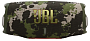 картинка Портативная колонка JBL Charge 6 Камуфляж - превью 1
