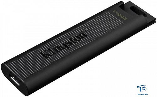 картинка Флэш накопитель Kingston DTMAX/256GB