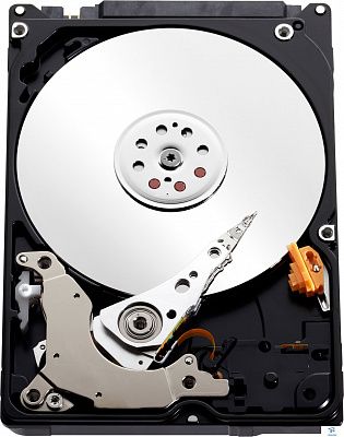 картинка Жесткий диск WD 1TB WD10SPZX