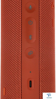 картинка Портативная колонка Honor Choice Orange VNC-ME00