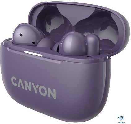 картинка Наушники Canyon CNS-TWS10PL