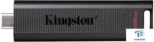картинка Флэш накопитель Kingston DTMAX/256GB