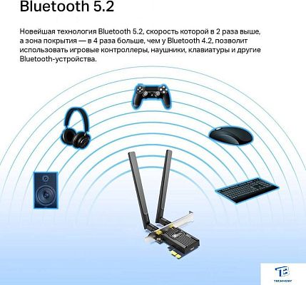 картинка Адаптер Tp-Link Archer TX55E