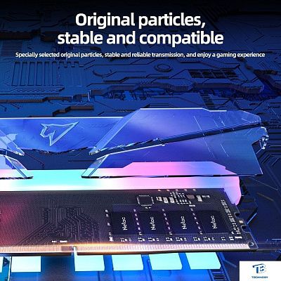 картинка ОЗУ Netac NTSRD4P32DP-16E