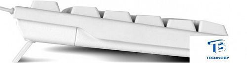 картинка Клавиатура Sven KB-S300 USB Белый