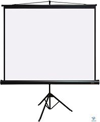 картинка Экран на штативе PL Magna TRM-AV-60