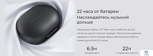 картинка Наушники Haylou GT7 Neo Черный