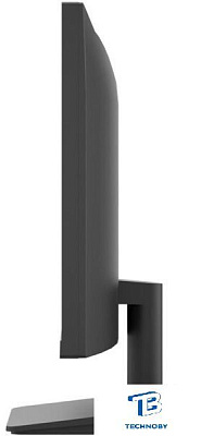 картинка Монитор LG 24MS500-B