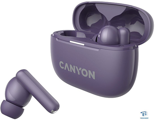 картинка Наушники Canyon CNS-TWS10PL