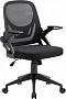 картинка Кресло Defender Office 64317 черный - превью 1