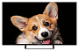 картинка Телевизор Top Device TDTV43CS03U_BK - превью 1