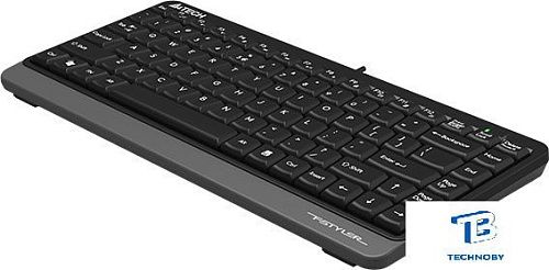 картинка Клавиатура A4Tech Fstyler FKS11 Черный
