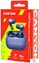 картинка Наушники Canyon CNS-TWS10PL - превью 7