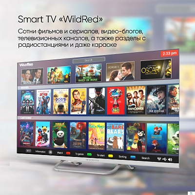 картинка Телевизор Top Device TDTV24CS04H_WE