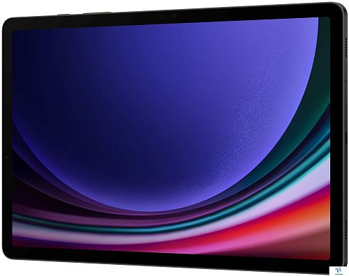 картинка Планшет Samsung Galaxy Tab S9 SM-X716BZAACAU