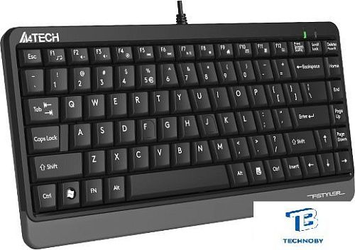 картинка Клавиатура A4Tech Fstyler FKS11 Черный