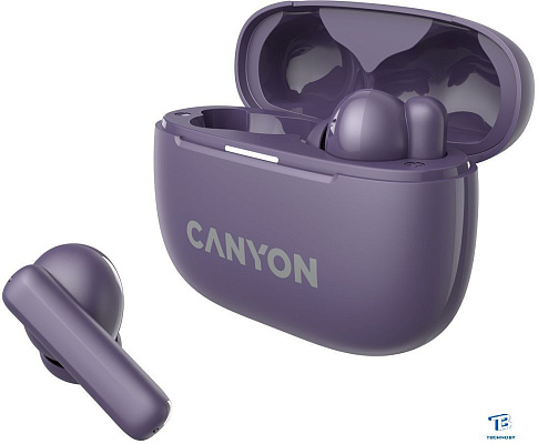 картинка Наушники Canyon CNS-TWS10PL