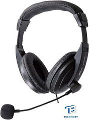 картинка Наушники Ritmix RH-524M