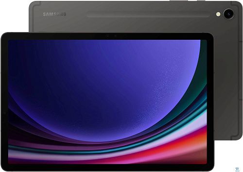 картинка Планшет Samsung Galaxy Tab S9 SM-X716BZAACAU
