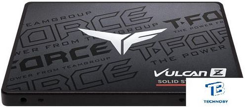 картинка Накопитель SSD Team Group 256GB T253TZ256G0C101