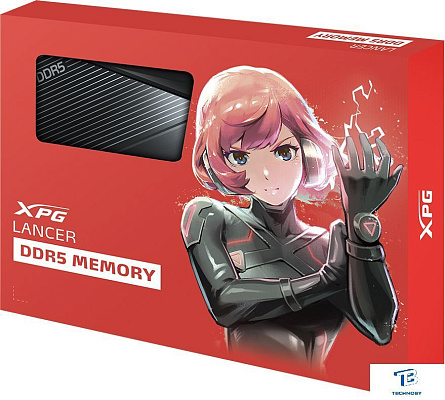 картинка ОЗУ A-Data AX5U6000C3016G-DCLABK
