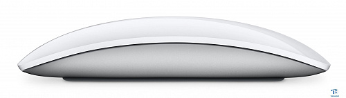 картинка Мышь Apple MK2E3