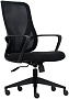 картинка Кресло Fox House Rogen SK3226mini Low Back Black - превью 1