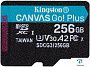 картинка Карта памяти Kingston SDCG3/256GB - превью 1