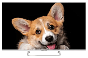 картинка Телевизор Top Device TDTV43CS03U_WE