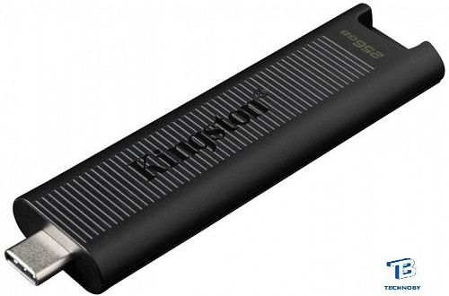 картинка Флэш накопитель Kingston DTMAX/256GB