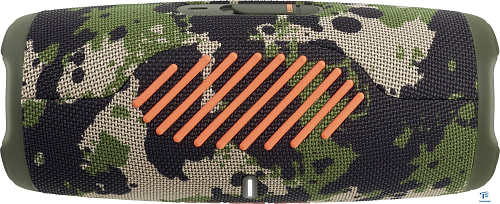 картинка Портативная колонка JBL Charge 5 Камуфляж