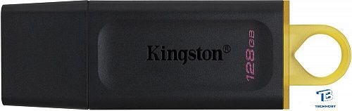 картинка Флэш накопитель Kingston DTX/128GB