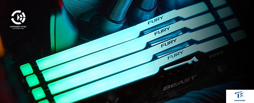 картинка ОЗУ Kingston KF560C36BBEAK2-16