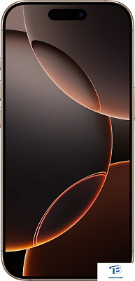 картинка Смартфон iPhone 16 Pro Desert 256GB MYN23