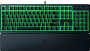 картинка Клавиатура Razer Ornata V3 X RZ03-04470100-R3M1 - превью 1